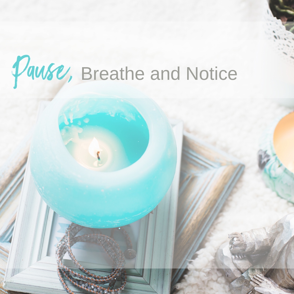 Pause, Breathe & Notice